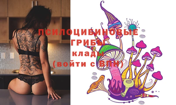 прущие крисы Балахна