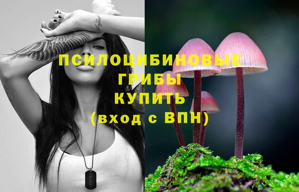 твердый Балабаново
