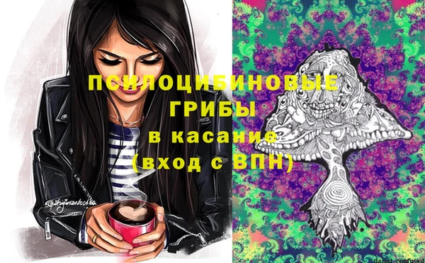 apvp Баксан