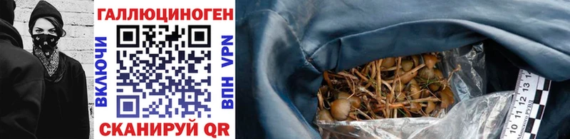 Галлюциногенные грибы ЛСД  Никольское 